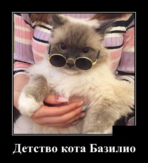 Демотиваторы