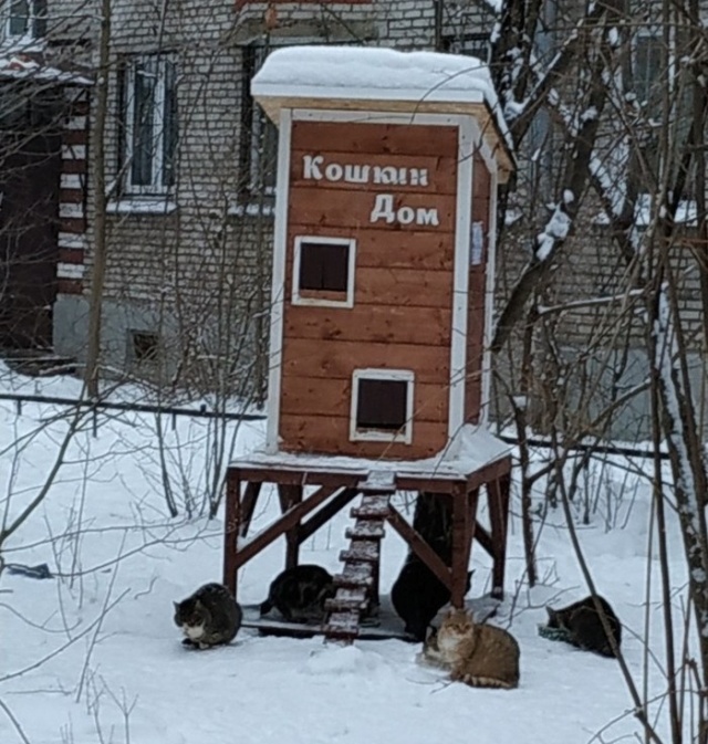 Прикольные картинки