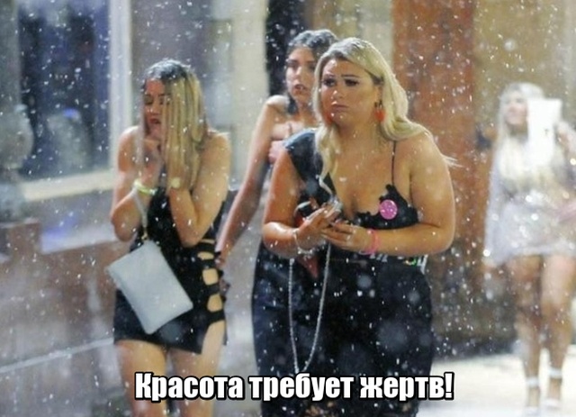 Прикольные картинки