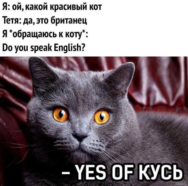 Прикольные картинки