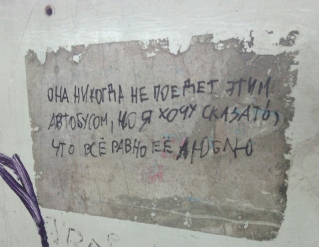 Прикольные картинки
