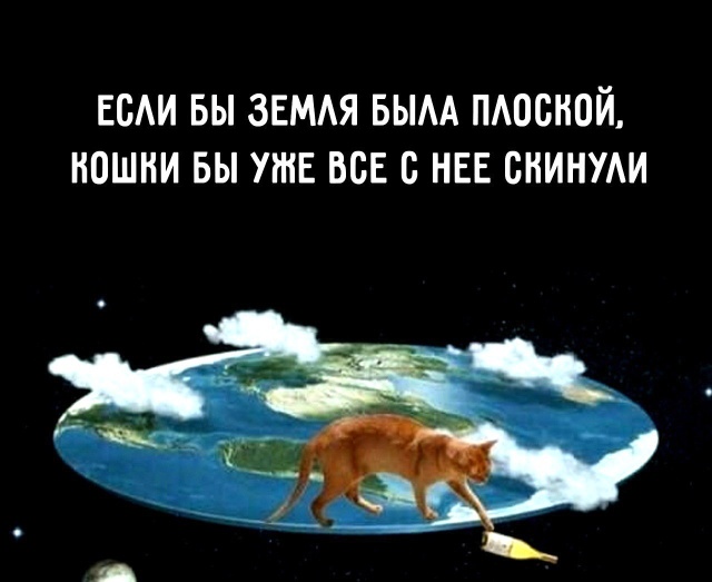 Прикольные картинки