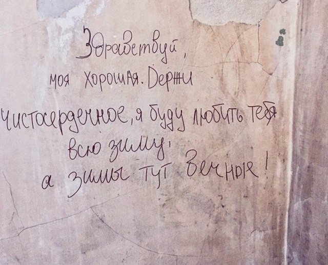 Прикольные картинки