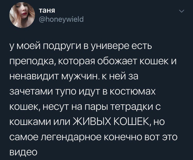 Креативный способ выпросить зачёт у преподавателя