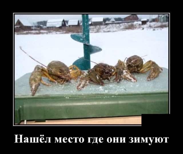 Демотиваторы