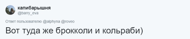 Пользователи сети рассказали о словах, которые они постоянно путают