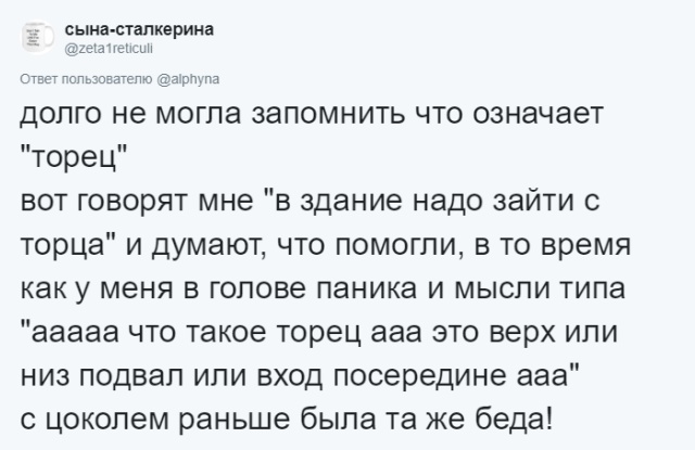 Пользователи сети рассказали о словах, которые они постоянно путают