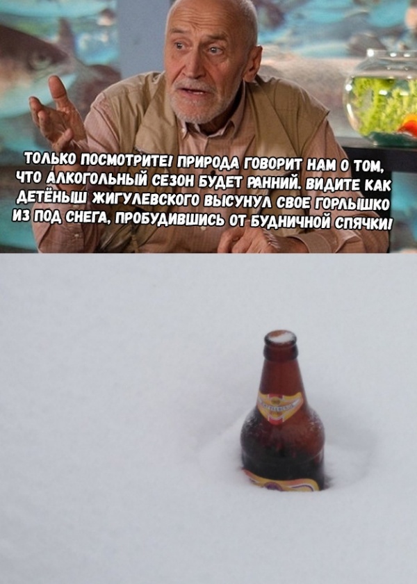 Юмор и шутки с просторов сети