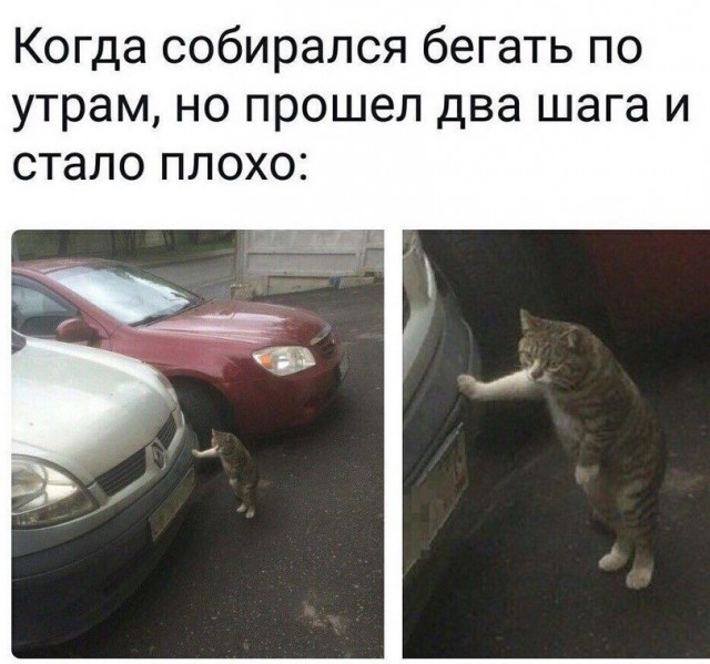 Юмор и шутки с просторов сети