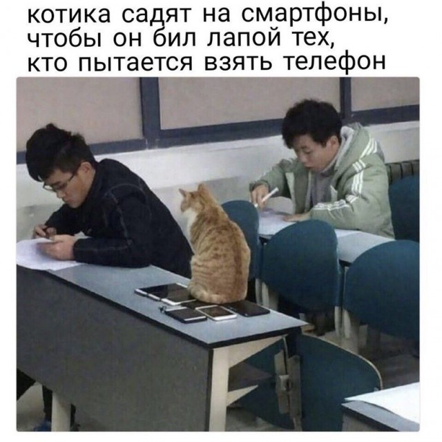 Юмор и шутки с просторов сети