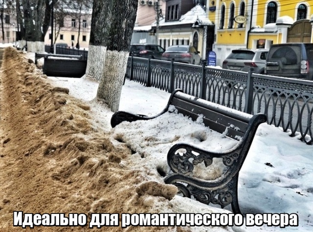 Прикольные картинки