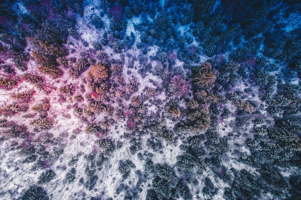 Победители конкурса фотографий, сделанных дронами