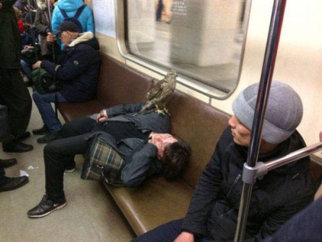 Снимки с просторов нашей бескрайней