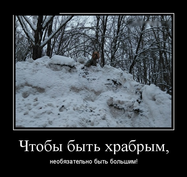 Демотиваторы