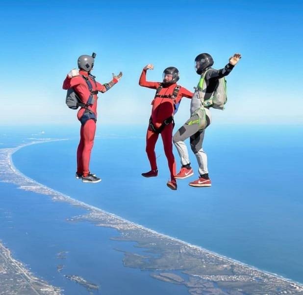 Прикольные картинки