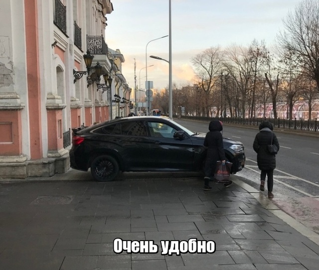 Прикольные картинки
