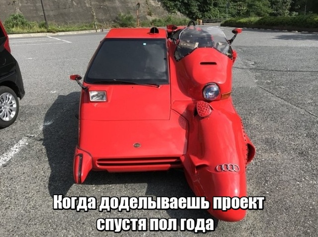 Прикольные картинки