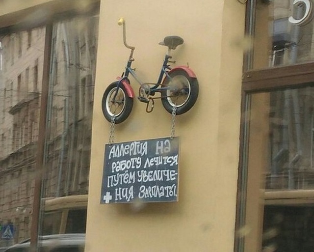 Прикольные картинки
