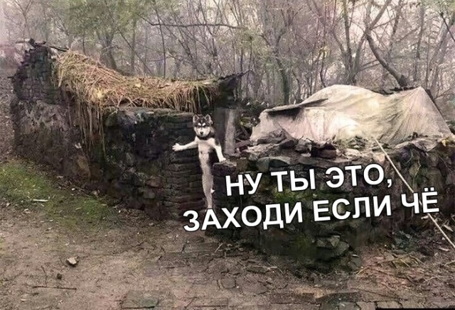 Прикольные картинки