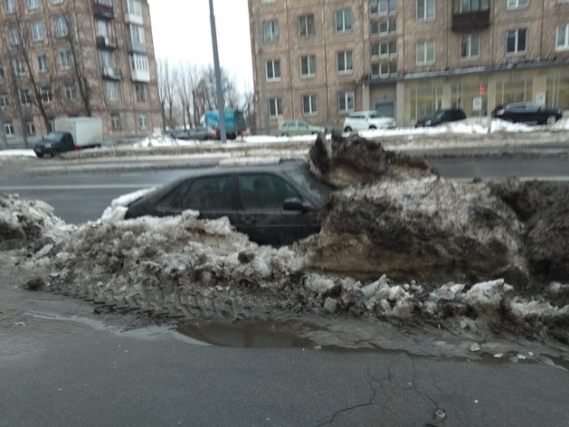 Первые "подснежники"