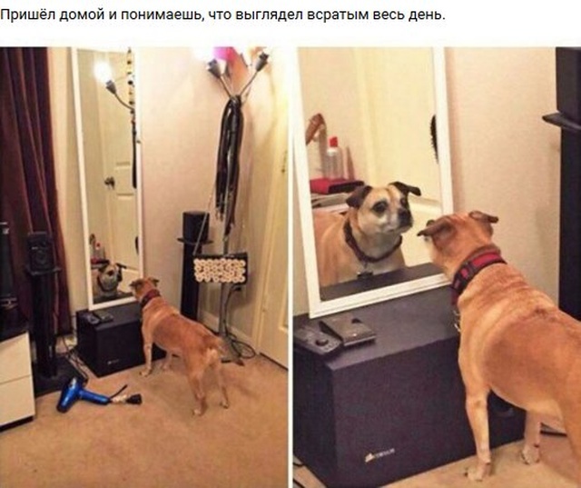 Простой юмор и шутки с просторов сети