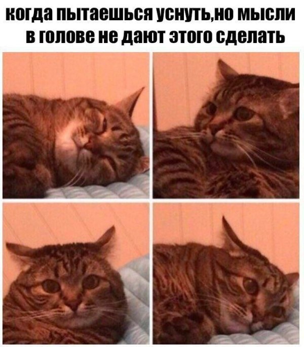 Простой юмор и шутки с просторов сети