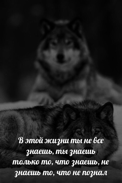 Простой юмор и шутки с просторов сети