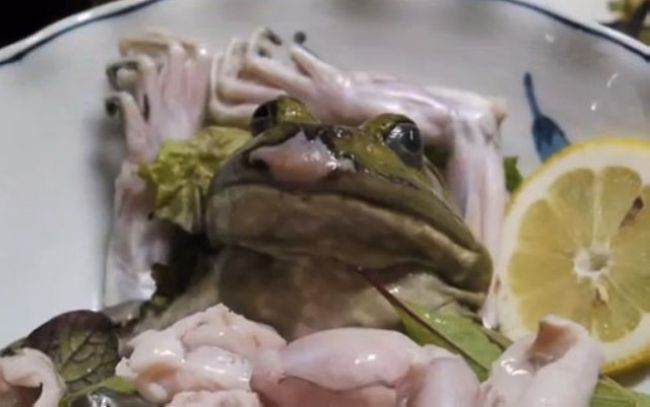 Блюда с живыми животными