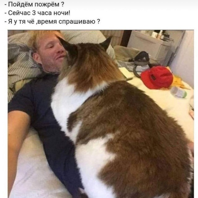 Шутки и юмор с просторов сети