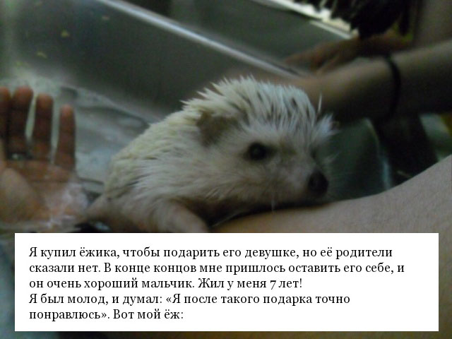 Неловкие "подкаты" из молодости, о которых стыдно рассказывать друзьям