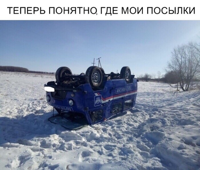 Прикольные картинки