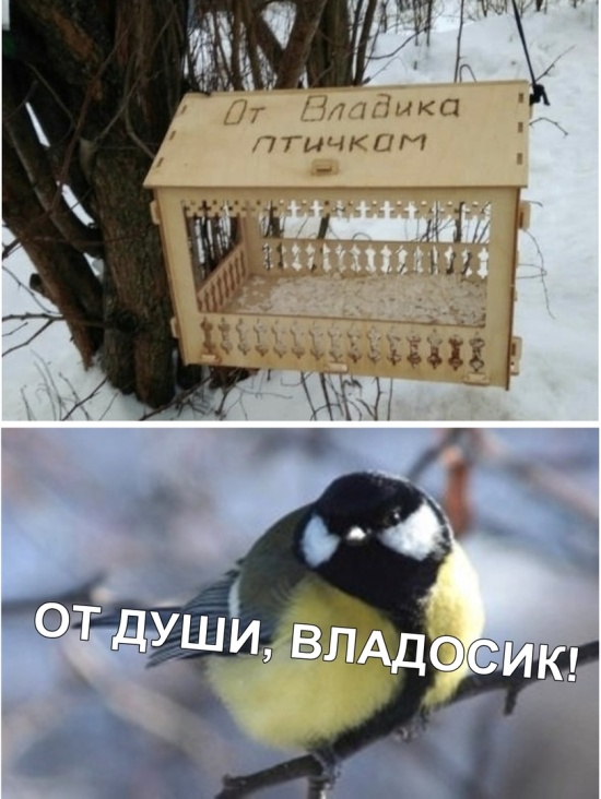Прикольные картинки
