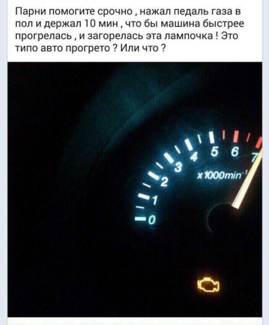 Прикольные картинки