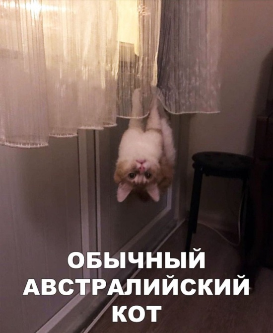 Шутки и юмор с просторов социальных сетей
