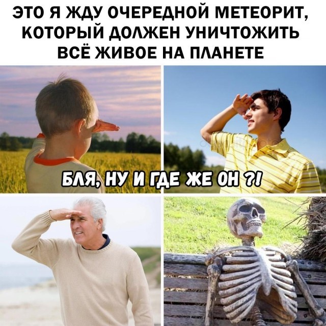 Шутки и юмор с просторов социальных сетей