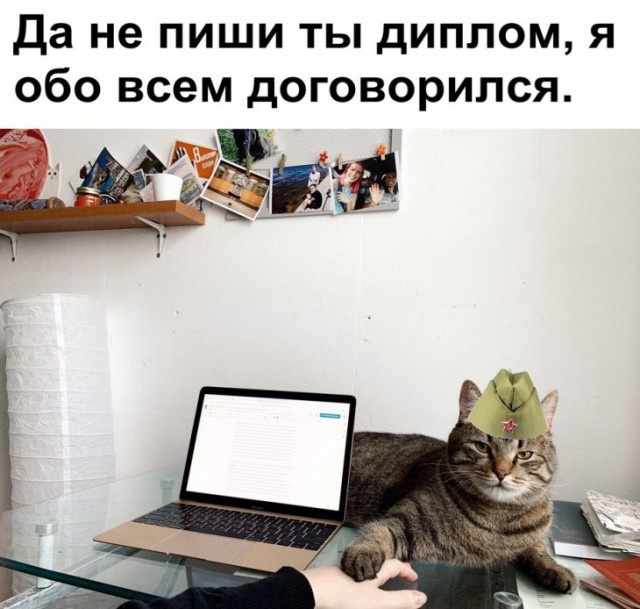 Шутки и юмор с просторов социальных сетей