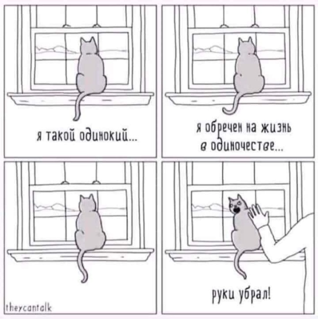 Прикольные картинки