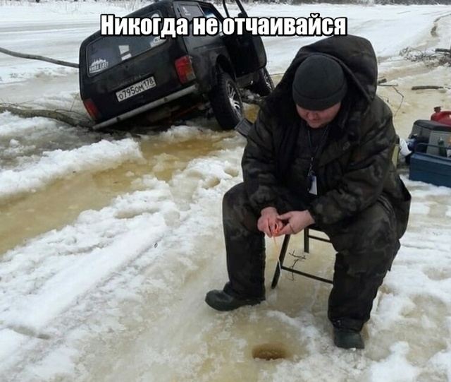 Прикольные картинки