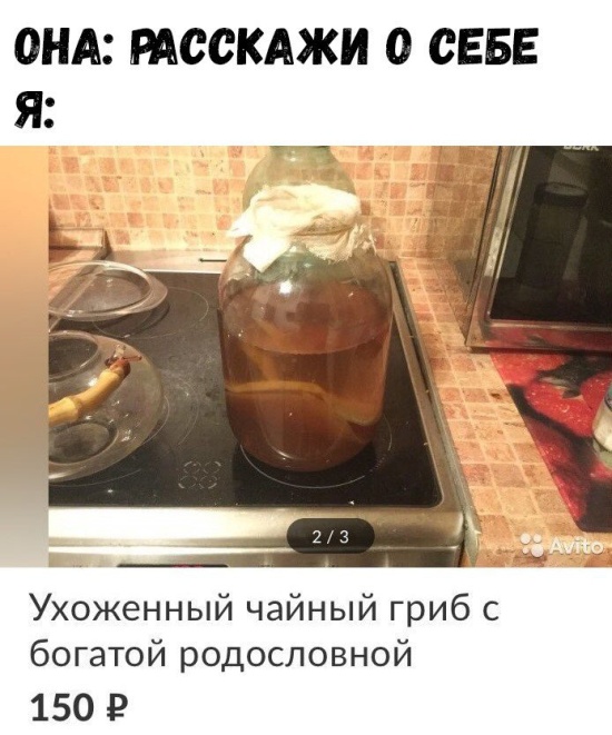 Прикольные картинки