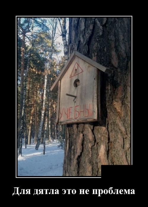 Демотиваторы