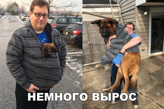 Прикольные картинки