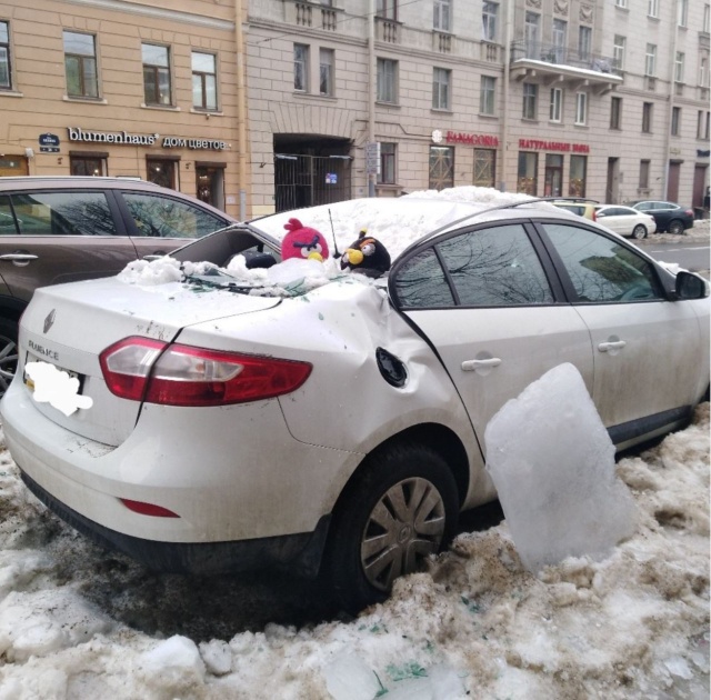 Прикольные картинки
