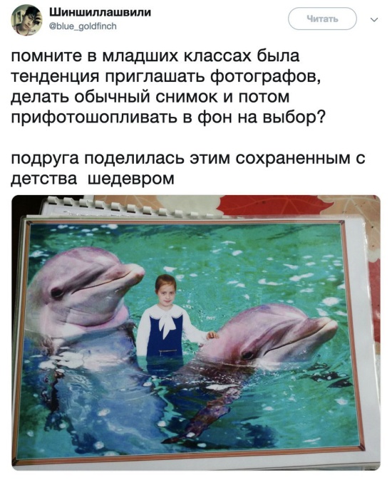 Прикольные картинки