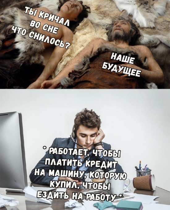 Прикольные картинки