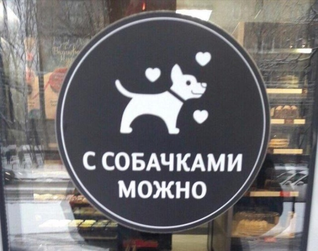 Прикольные картинки