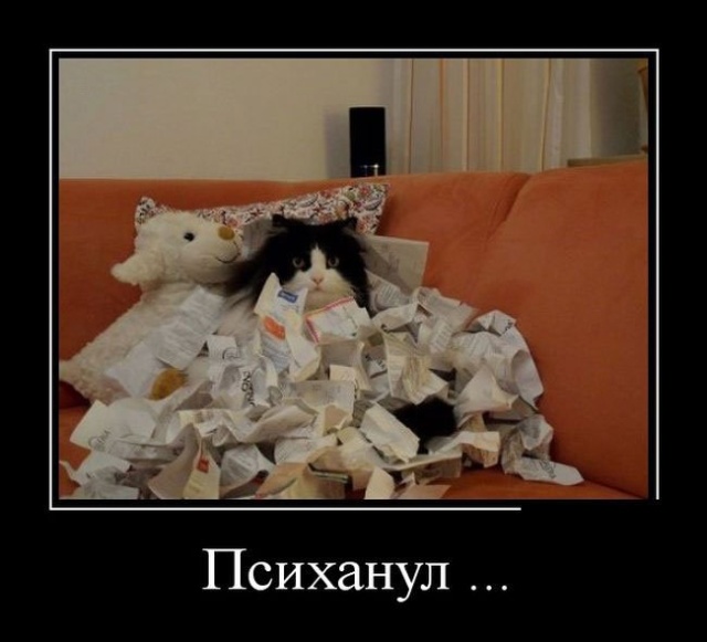 Демотиваторы