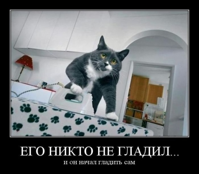 Демотиваторы