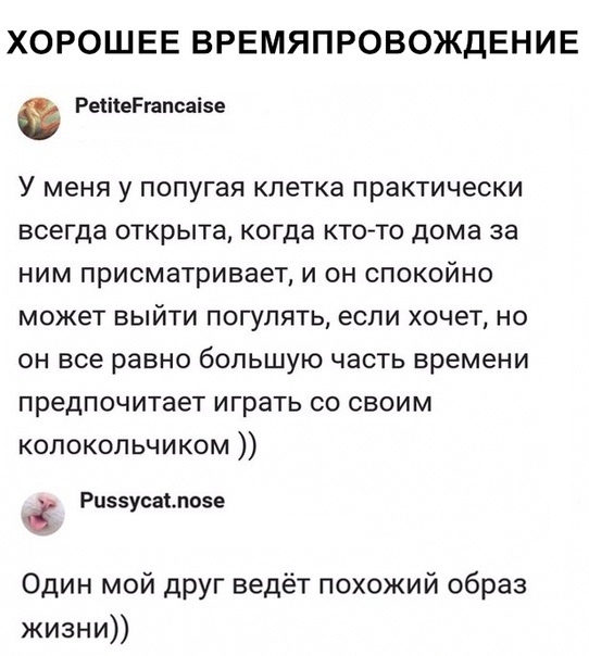 Комментарии и высказывания из социальных сетей