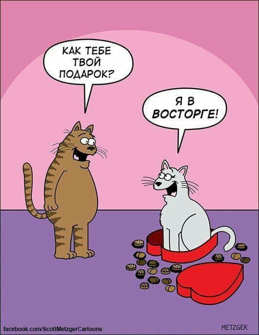 Юмор и шутки ко Дню святого Валентина