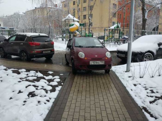 Прикольные картинки